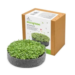 DIY Ready to Use Microgreen Growing Kit