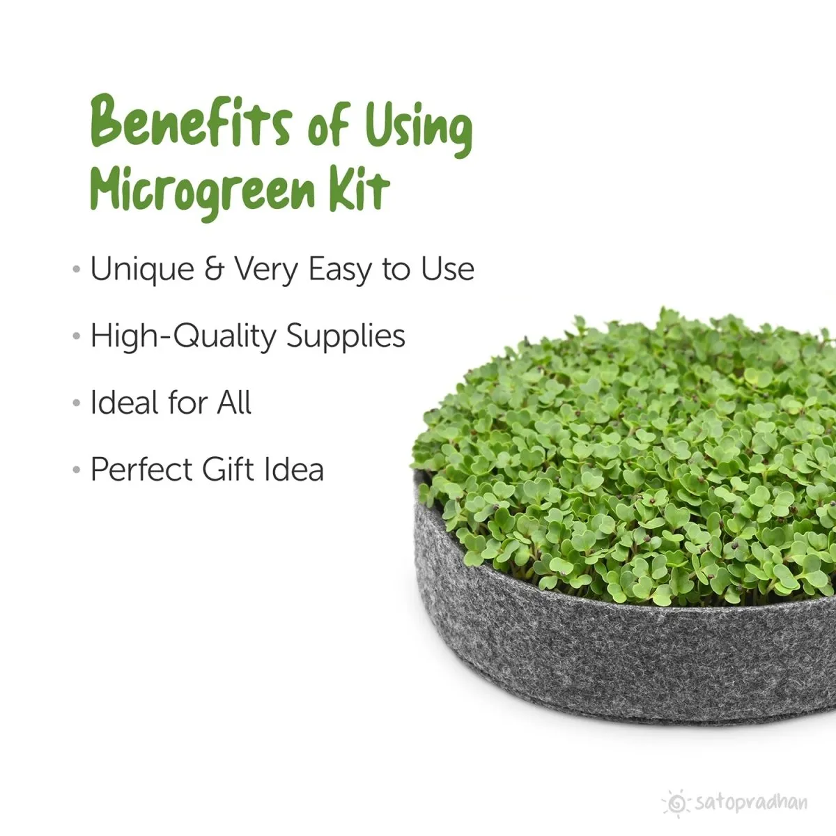 DIY Ready to Use Microgreen Growing Kit