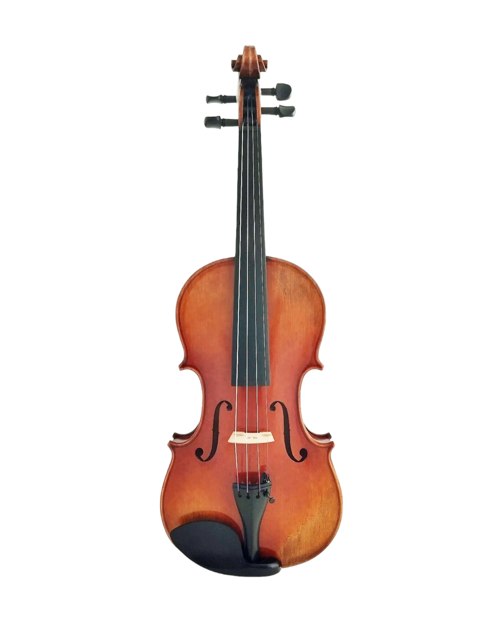 Harmonic Brilliance, The AVA110 Symphony Violin