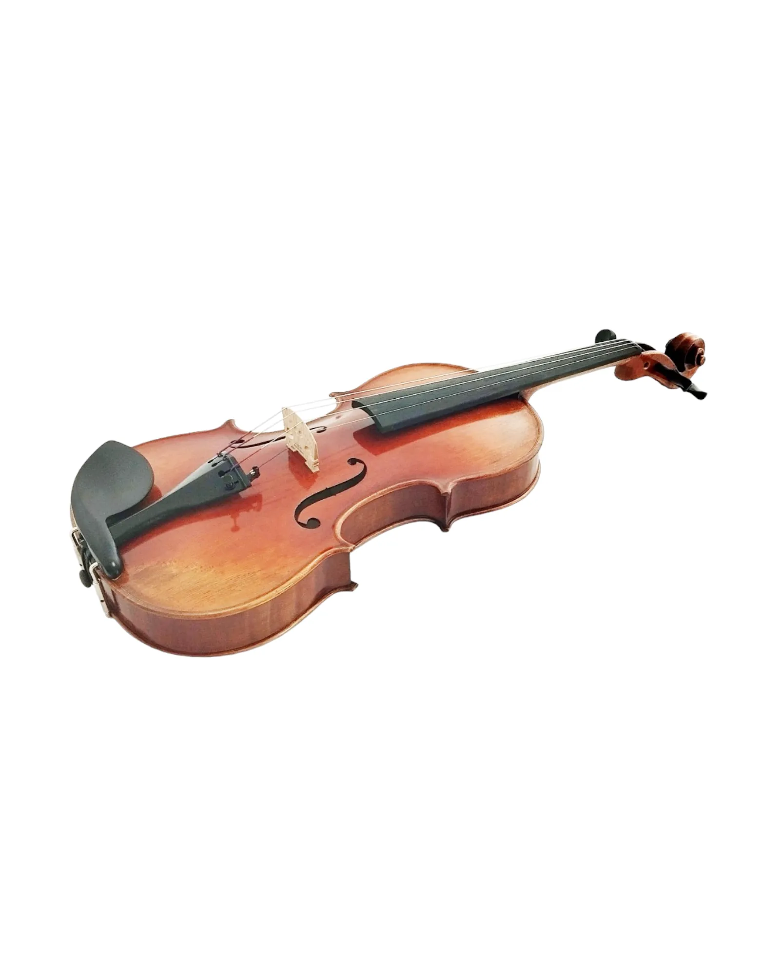 Harmonic Brilliance, The AVA110 Symphony Violin