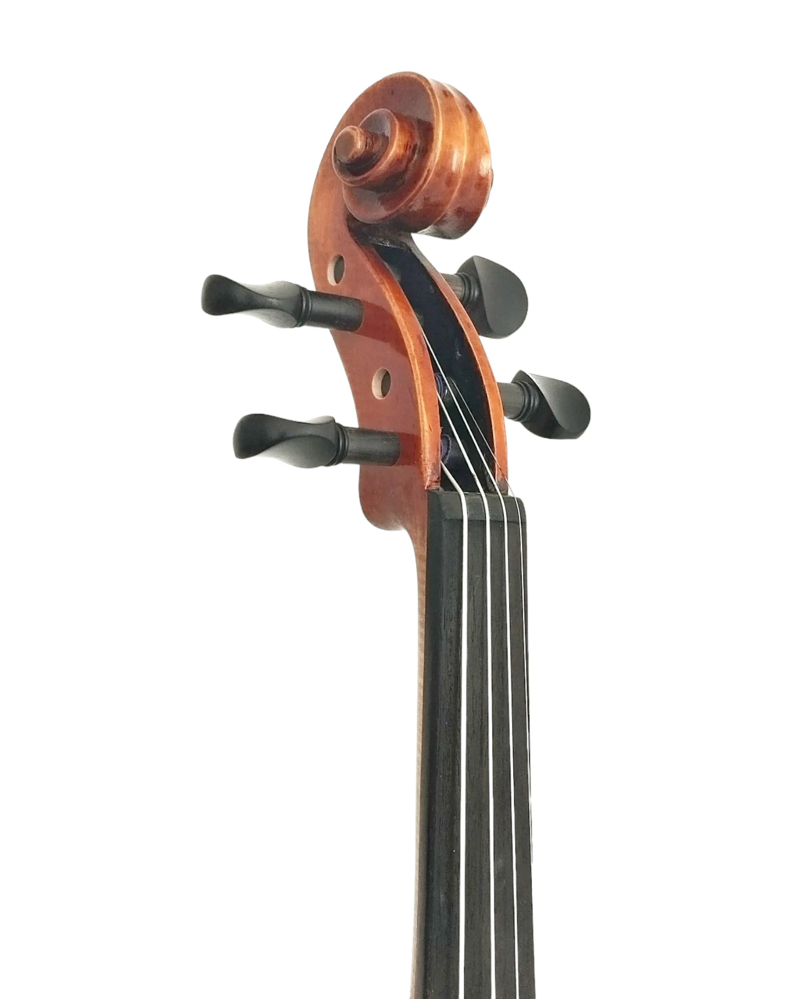 Harmonic Brilliance, The AVA110 Symphony Violin