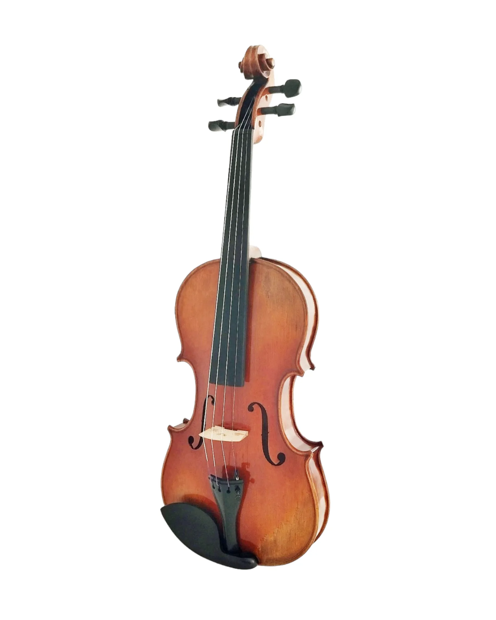 Harmonic Brilliance, The AVA110 Symphony Violin