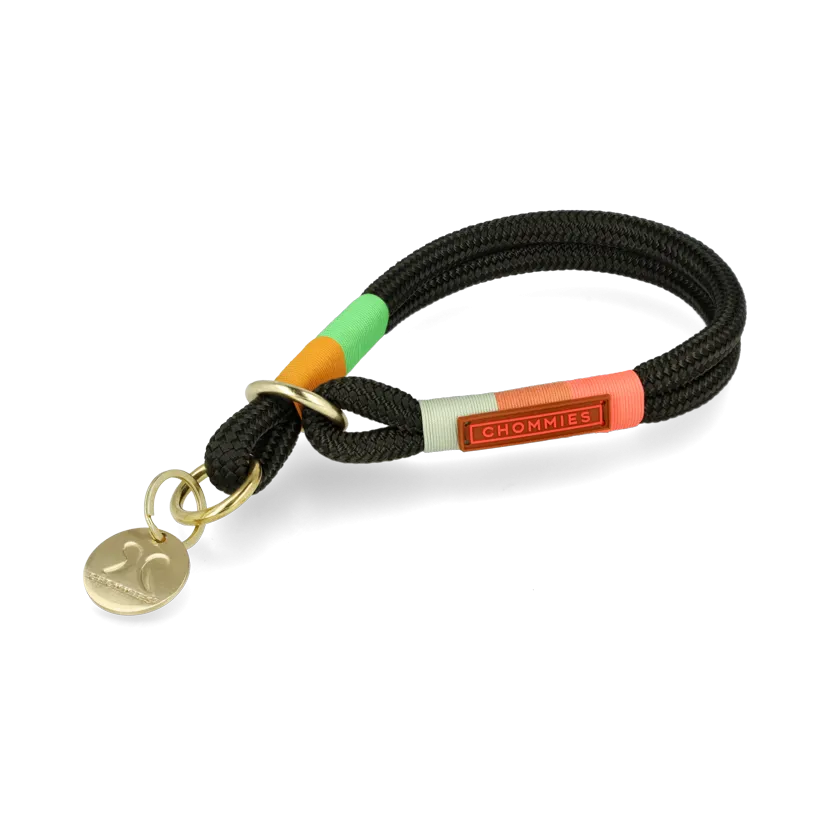 O-Ring Choker Dog Collar | Spring