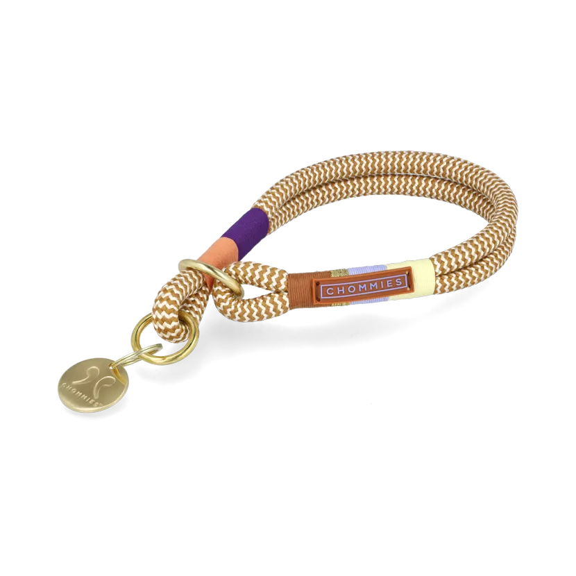 O-Ring Choker Dog Collar | Summer